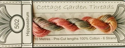 COTTAGE GARDEN THREADS HIPPEASTRUM 502