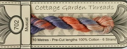 COTTAGE GARDEN MUSCAT 702